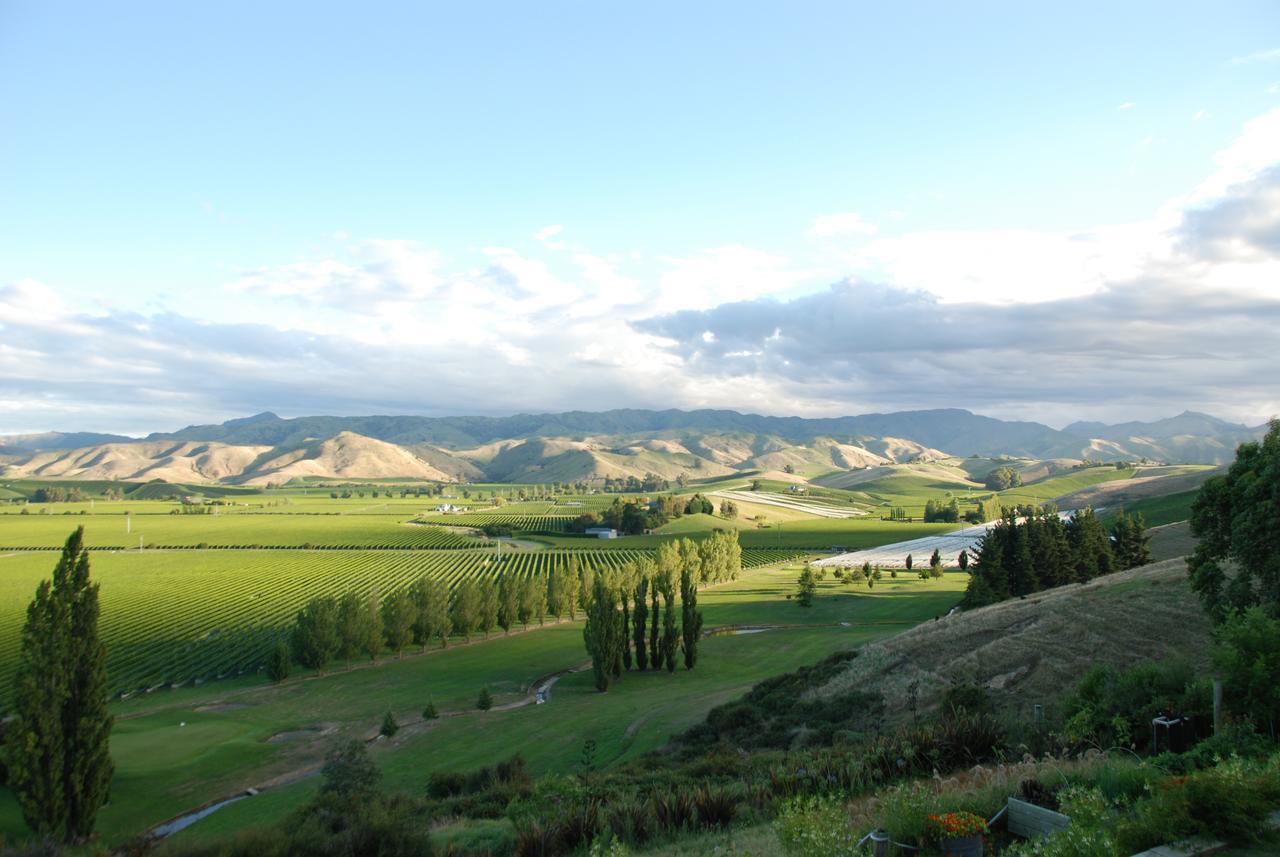Infinityview B&B Blenheim Exterior foto